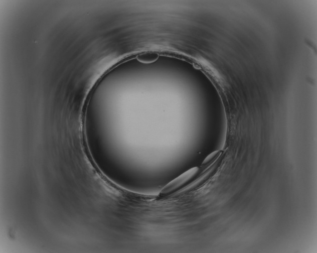 X0000091881287200709051316