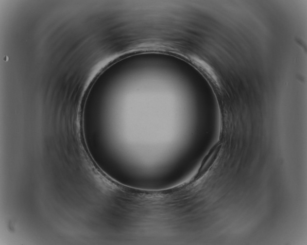 X0000091881288200709051316