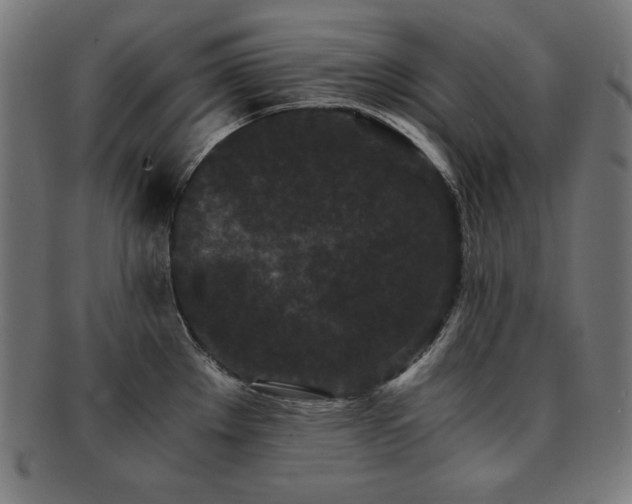 X0000091881289200709051316