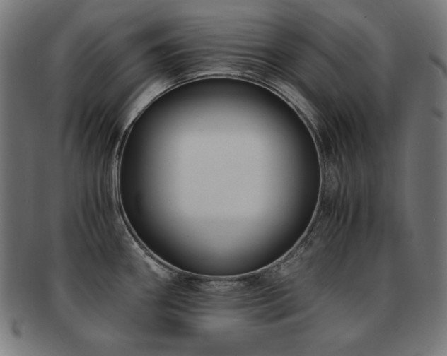 X0000091881290200709051316