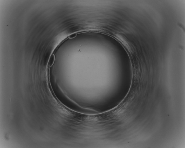 X0000091881291200709051316