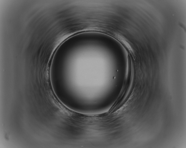 X0000091881292200709051316