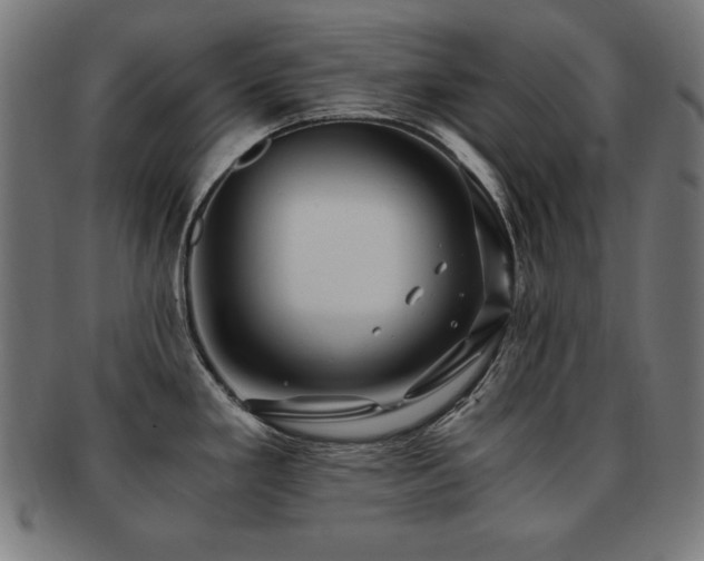 X0000091881293200709051316
