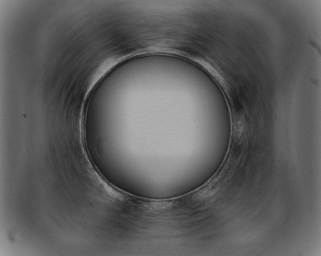 X0000091881294200709051316