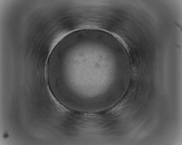 X0000091881295200709051316