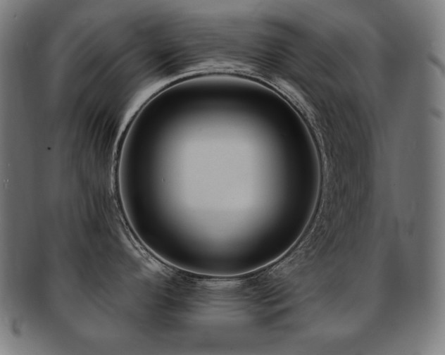 X0000091881296200709051316