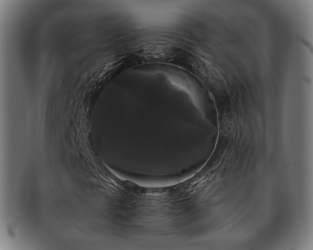 X0000091881297200709051316