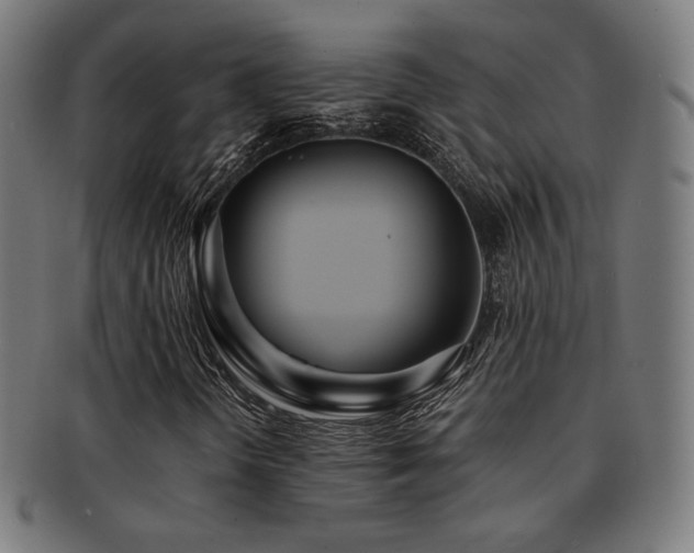 X0000091881298200709051316