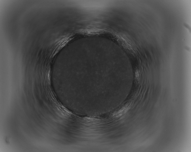 X0000091881300200709051316