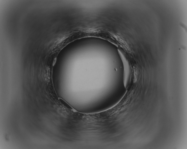 X0000091881301200709051316