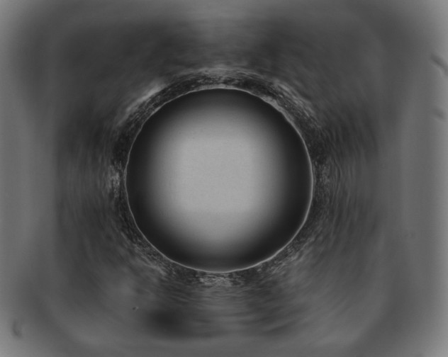 X0000091881302200709051316
