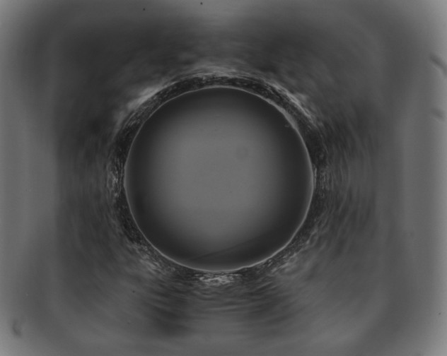 X0000091881303200709051316