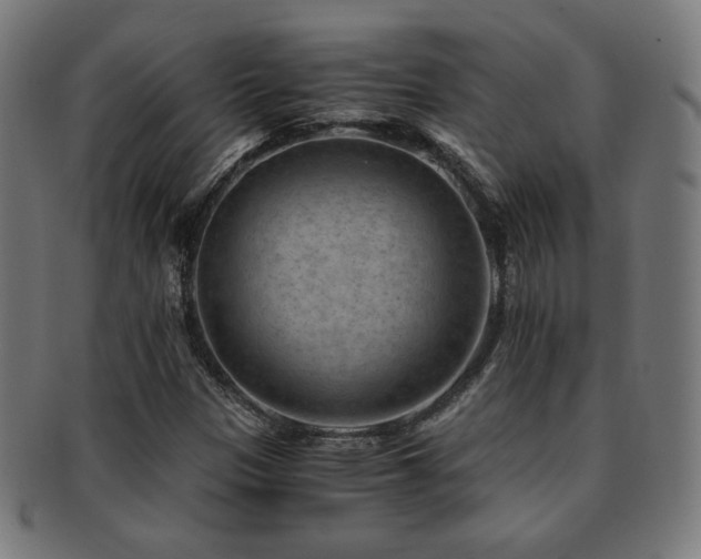 X0000091881305200709051316