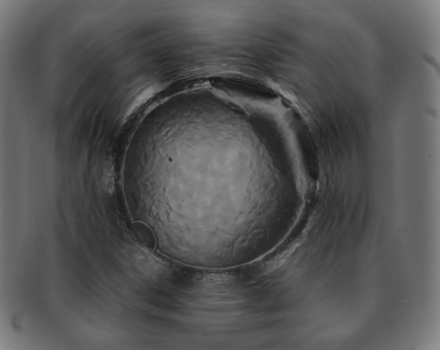 X0000091881306200709051316