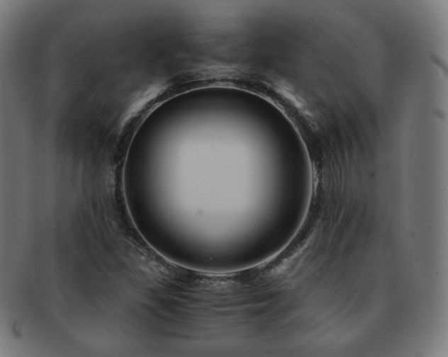X0000091881309200709051316
