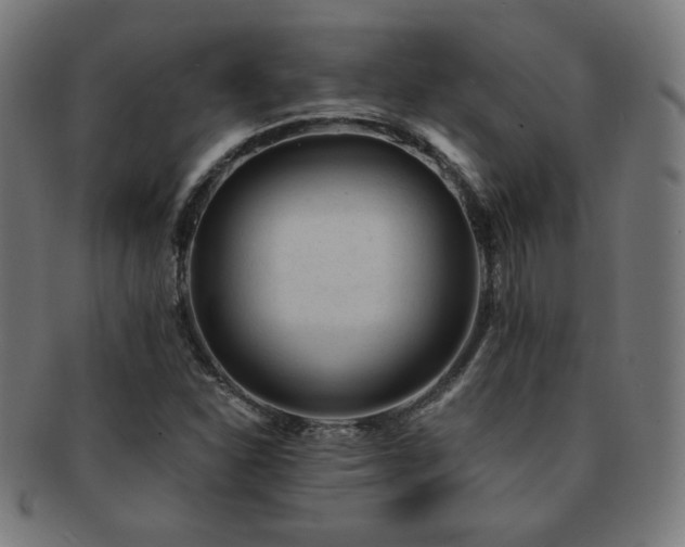 X0000091881310200709051316