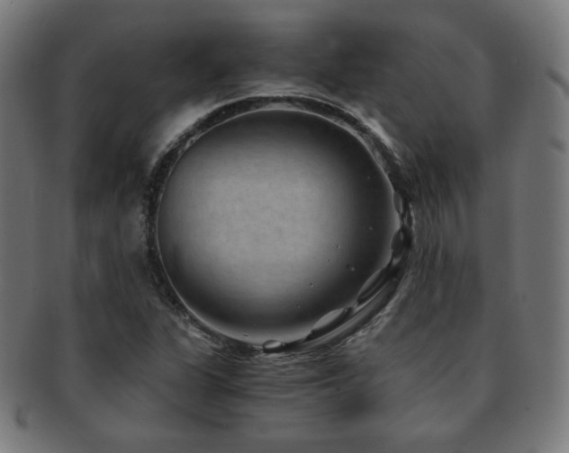 X0000091881311200709051316