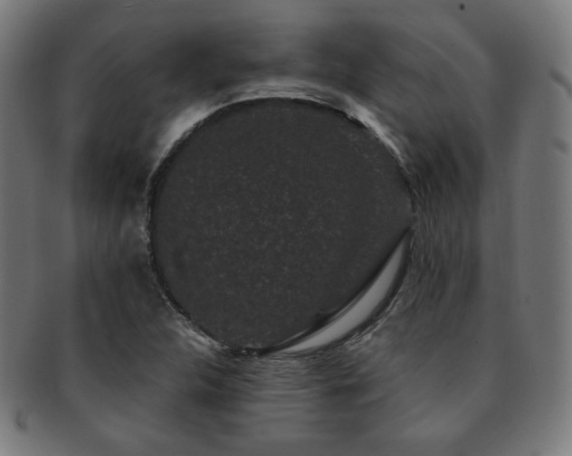 X0000091881312200709051316