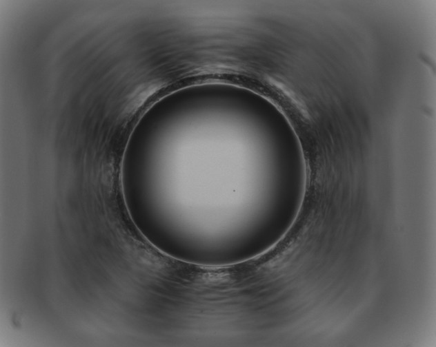 X0000091881313200709051316