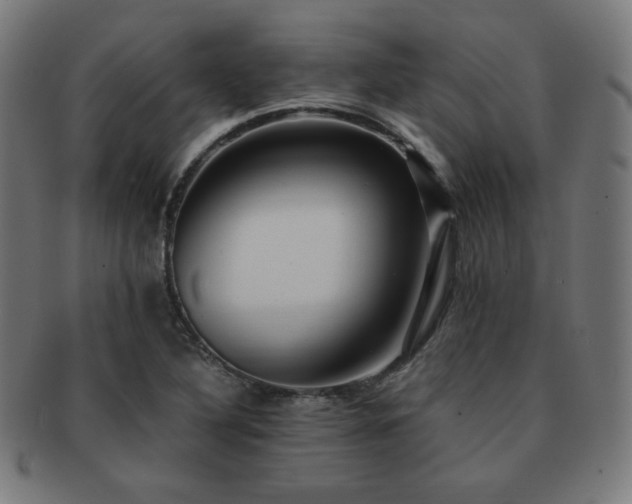 X0000091881316200709051316