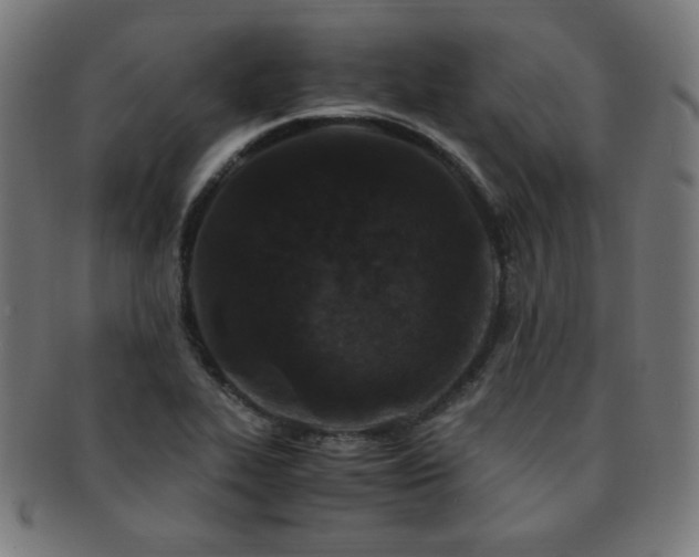 X0000091881319200709051316