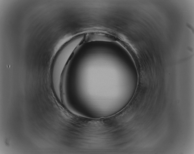 X0000091881320200709051316