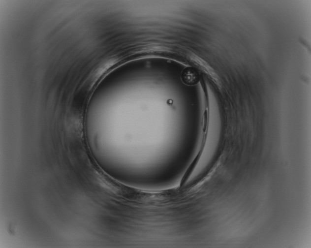 X0000091881321200709051316