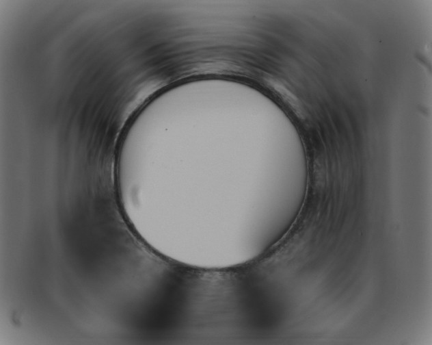X0000091881322200709051316