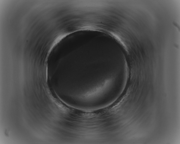 X0000091881323200709051316