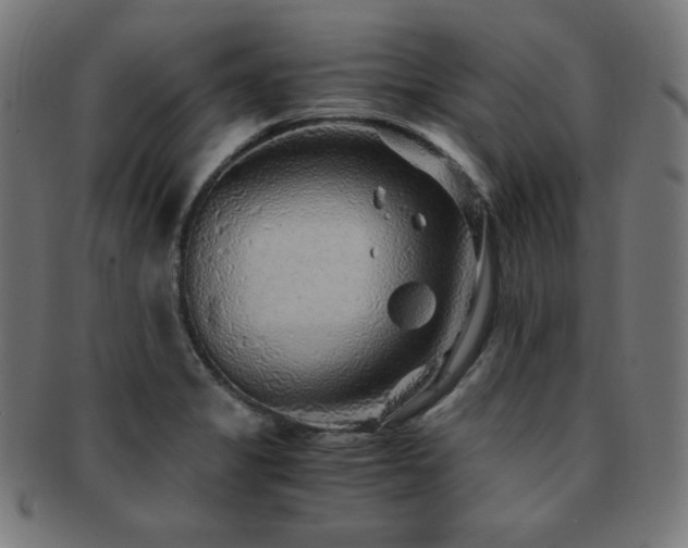 X0000091881325200709051316