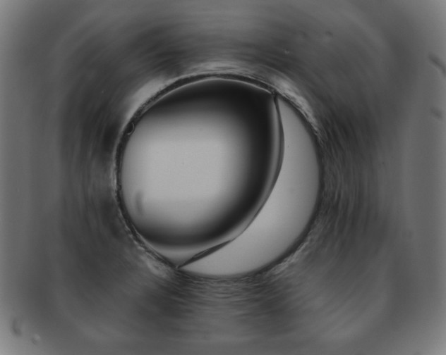 X0000091881328200709051316