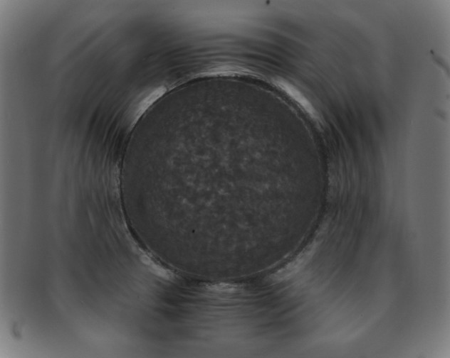X0000091881329200709051316