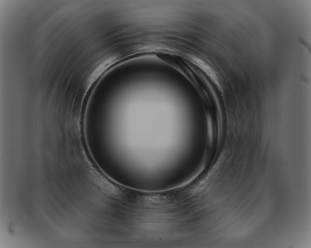 X0000091881330200709051316