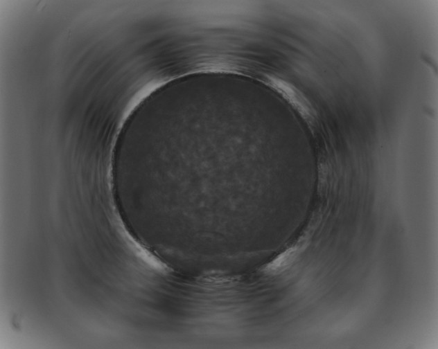 X0000091881331200709051316