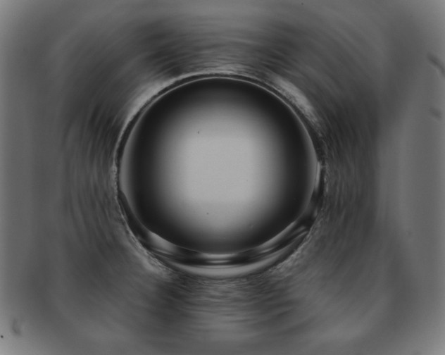 X0000091881332200709051316