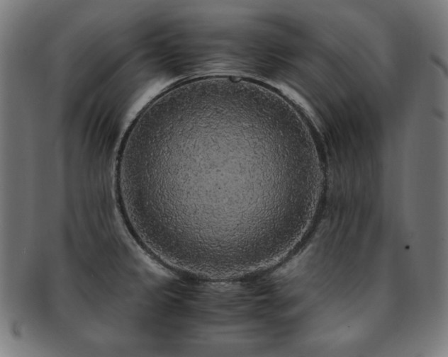 X0000091881333200709051316