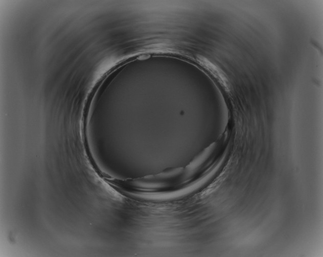 X0000091881334200709051316