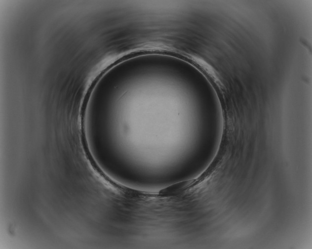 X0000091881335200709051316