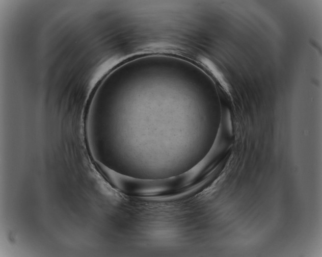 X0000091881336200709051316