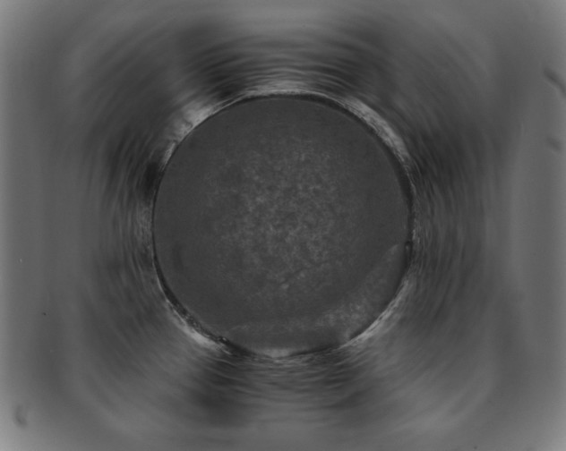 X0000091881337200709051316