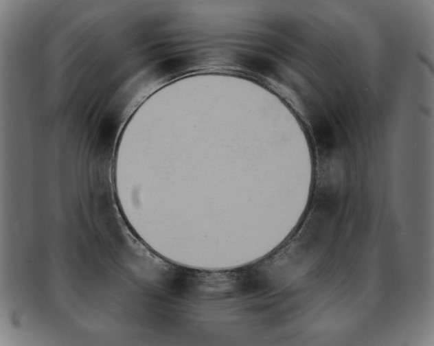 X0000091881338200709051316