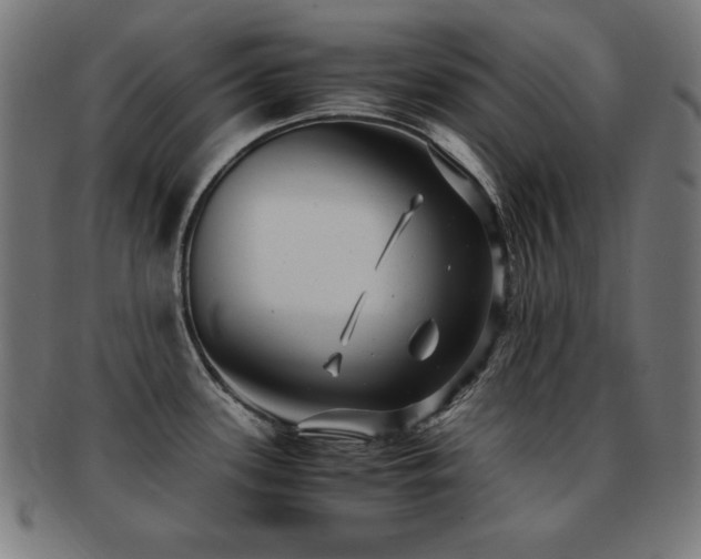 X0000091881339200709051316
