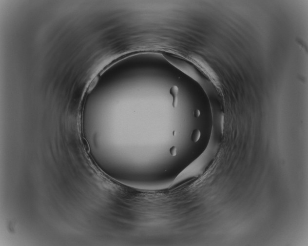 X0000091881340200709051316