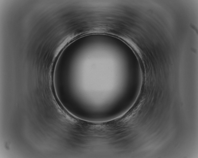 X0000091881341200709051316