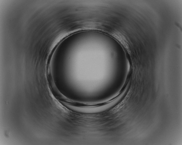 X0000091881342200709051316