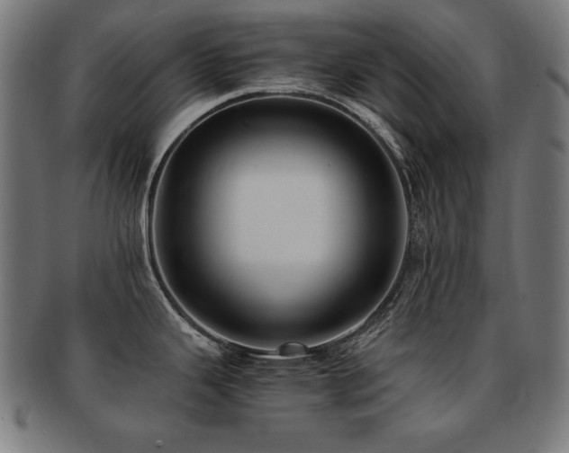 X0000091881343200709051316