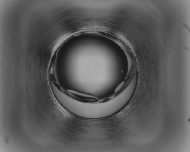 X0000091881344200709051316
