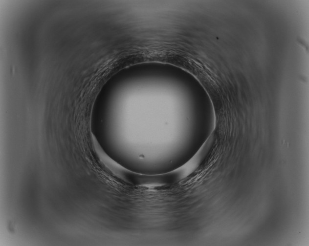 X0000091881345200709051316