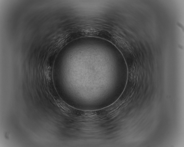 X0000091881346200709051316