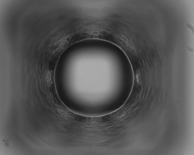 X0000091881347200709051316